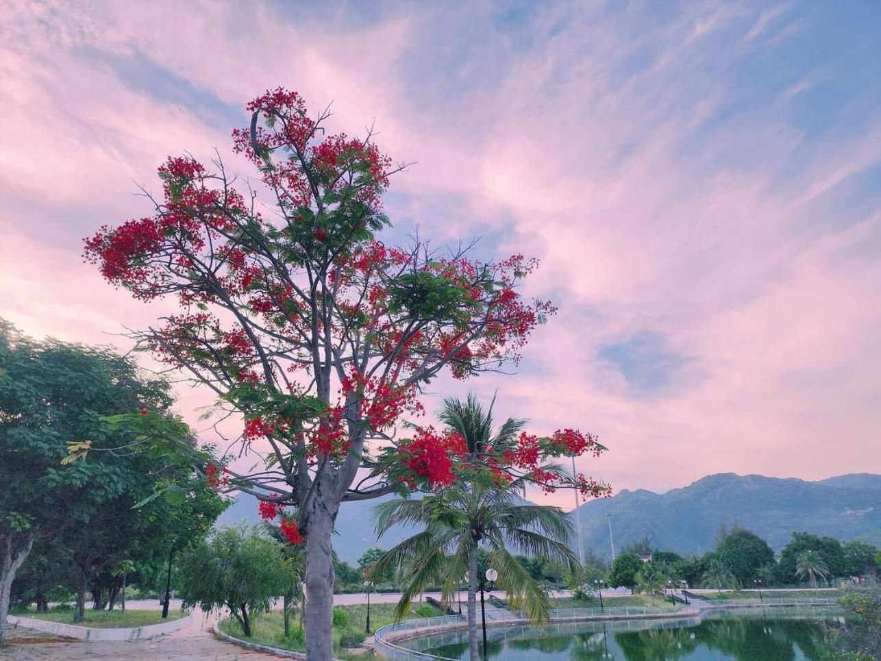Moc Homestay- Near Bai Dai Beach Cam Lam Kültér fotó