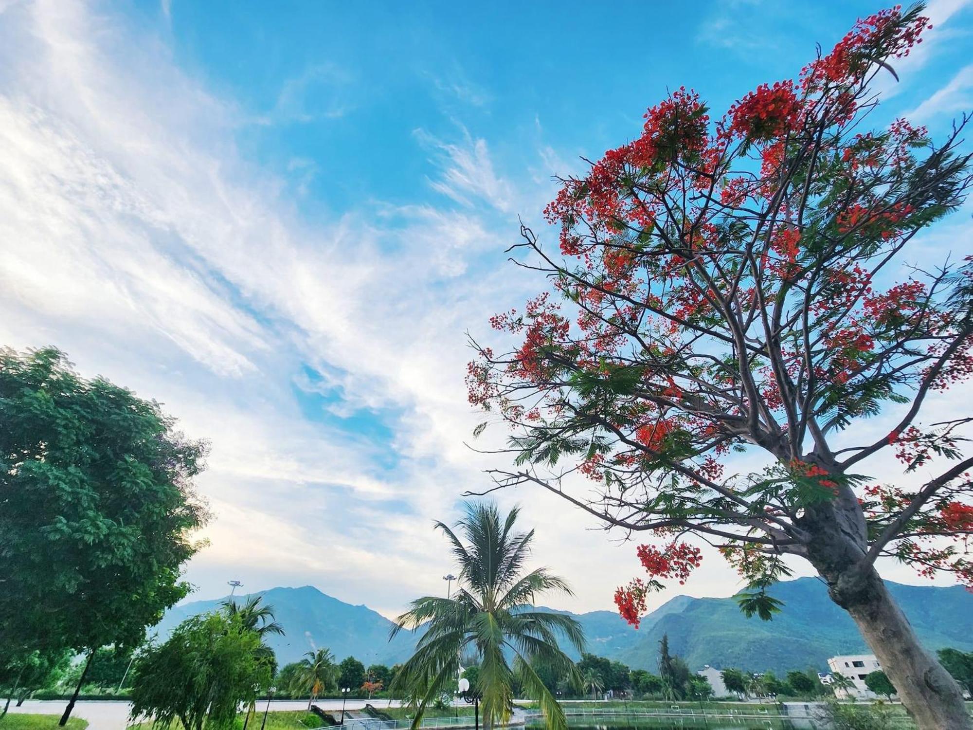 Moc Homestay- Near Bai Dai Beach Cam Lam Kültér fotó