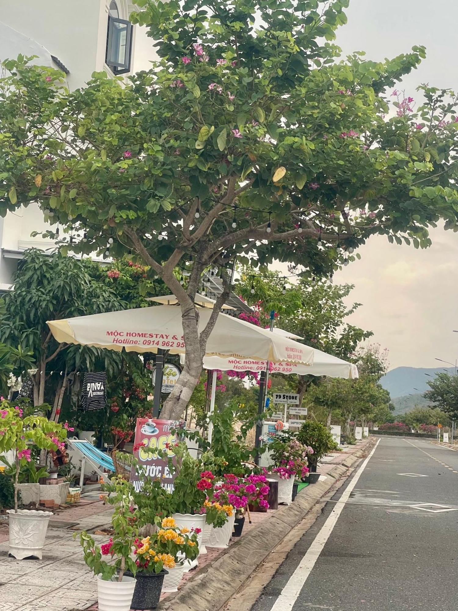 Moc Homestay- Near Bai Dai Beach Cam Lam Kültér fotó